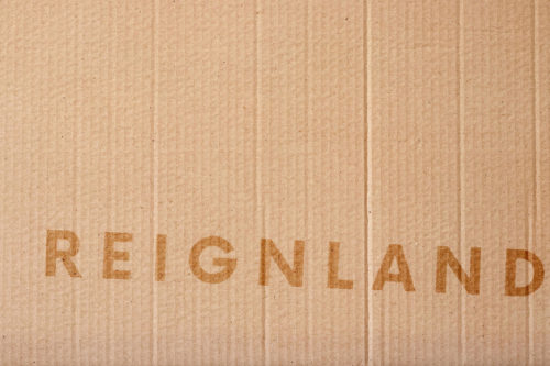 Reignland feature on Steven Keene