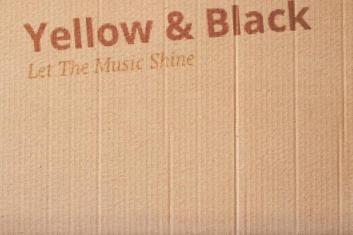 Yellow and Black feature on Steven Keene