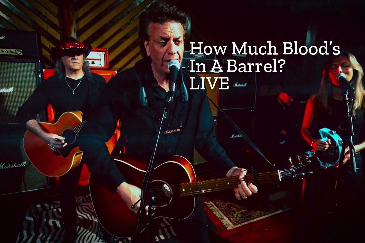 Steven Keene and band performing How Much Blood's In A Barrel? live